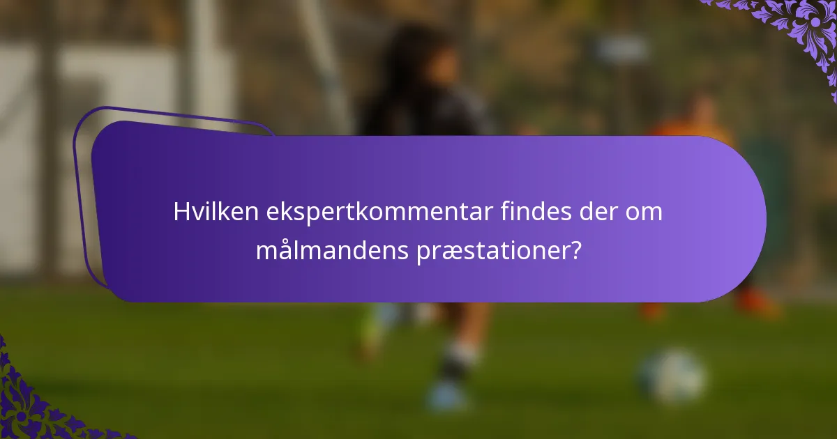 Hvilken ekspertkommentar findes der om målmandens præstationer?
